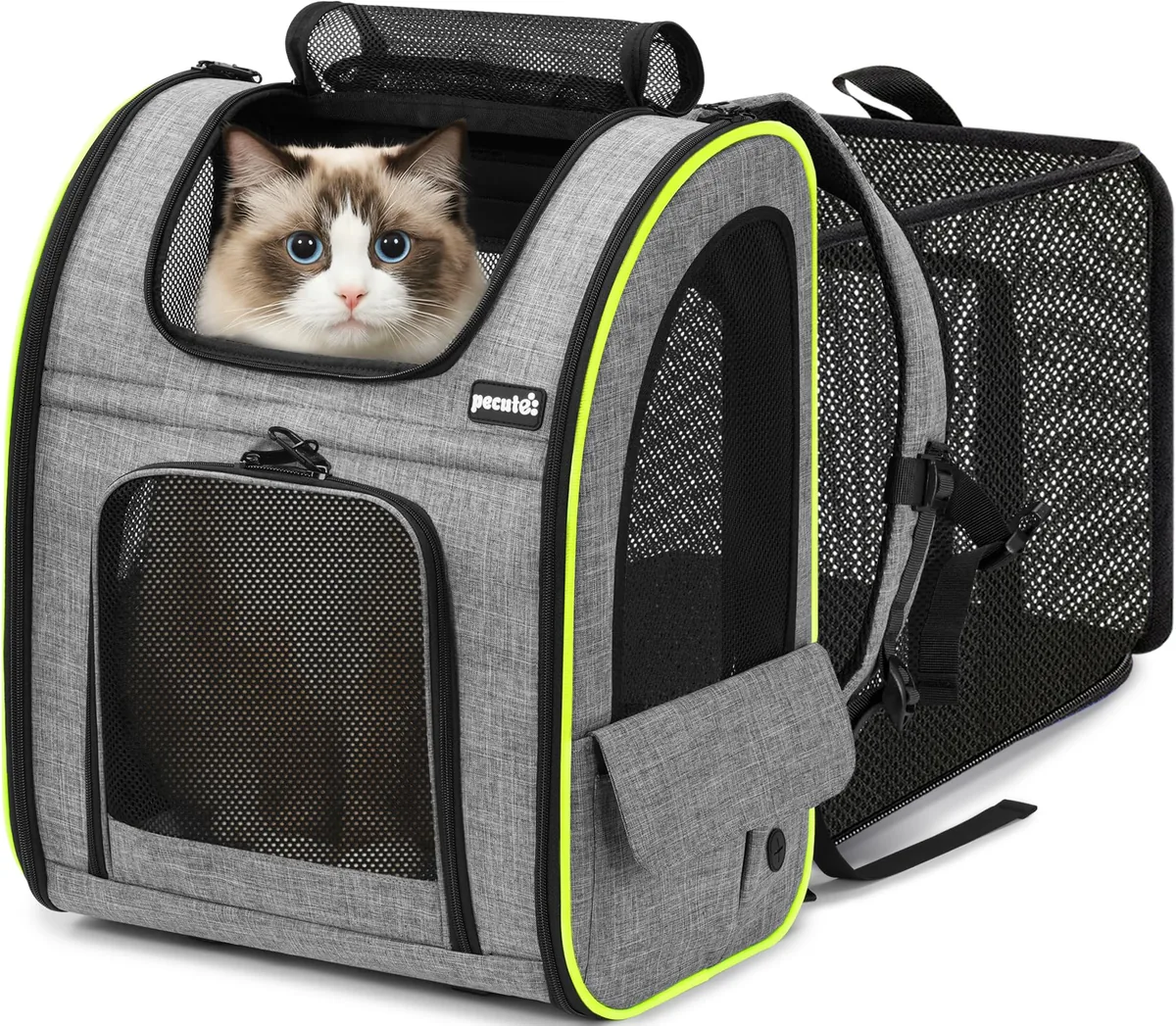 Pecute Mochila transportín XL para gatos de 6 a 8 kg