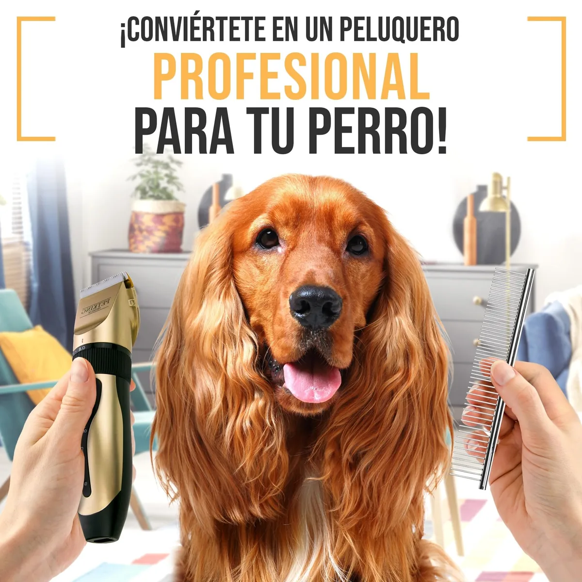 PetKing Premium Kit de aseo (cortapelos + accesorios) — imagen 5
