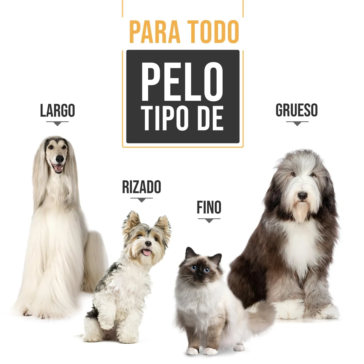 PetKing Premium Kit de aseo (cortapelos + accesorios) — imagen 7