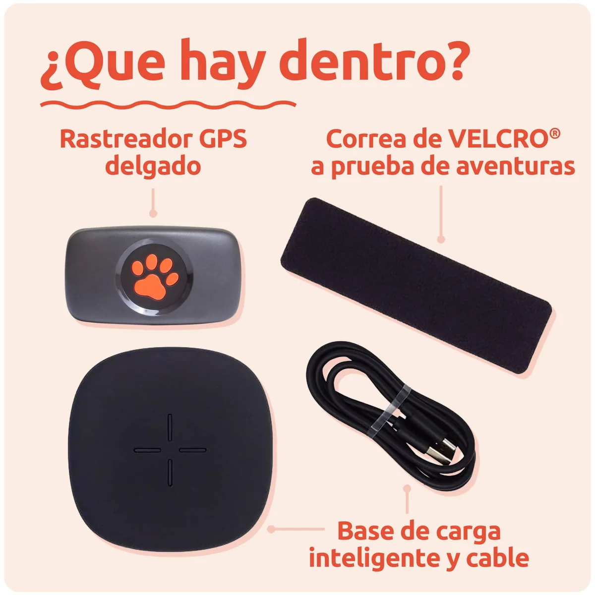 PitPat Localizador GPS para perros sin suscripción — imagen 4