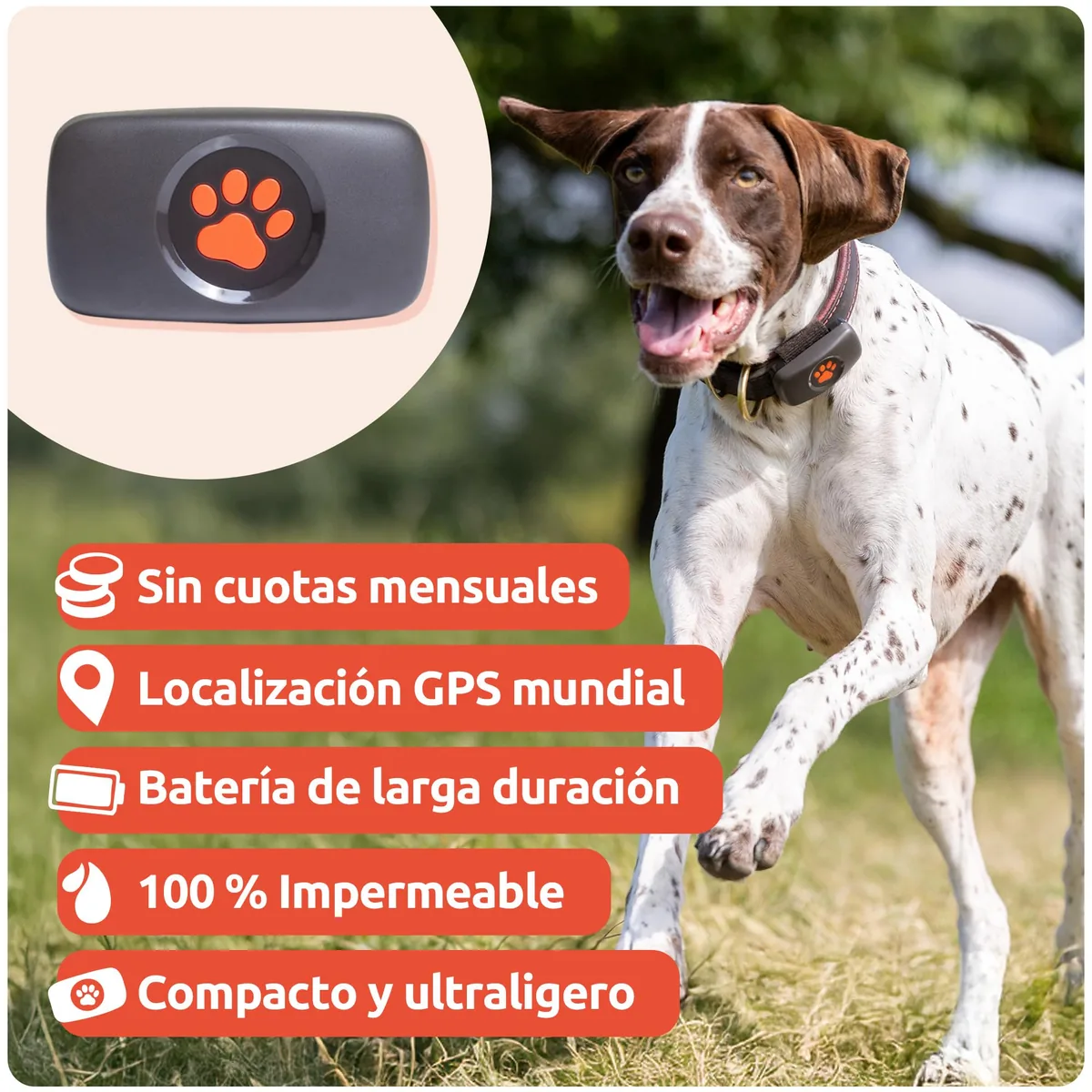 PitPat Localizador GPS para perros sin suscripción — imagen 7