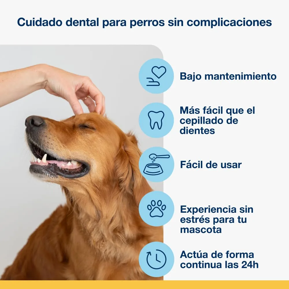 ProDen PlaqueOff Polvo dental de alga (60 g) — imagen 5