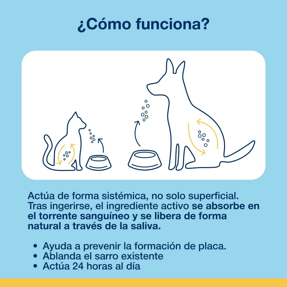 ProDen PlaqueOff Polvo dental de alga (60 g) — imagen 8