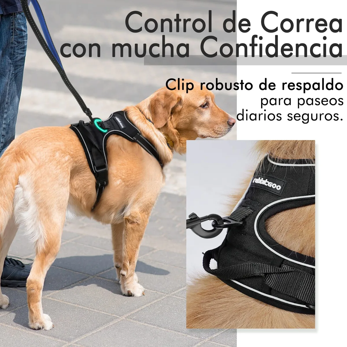 rabbitgoo Arnés antitirones clásico — imagen 6