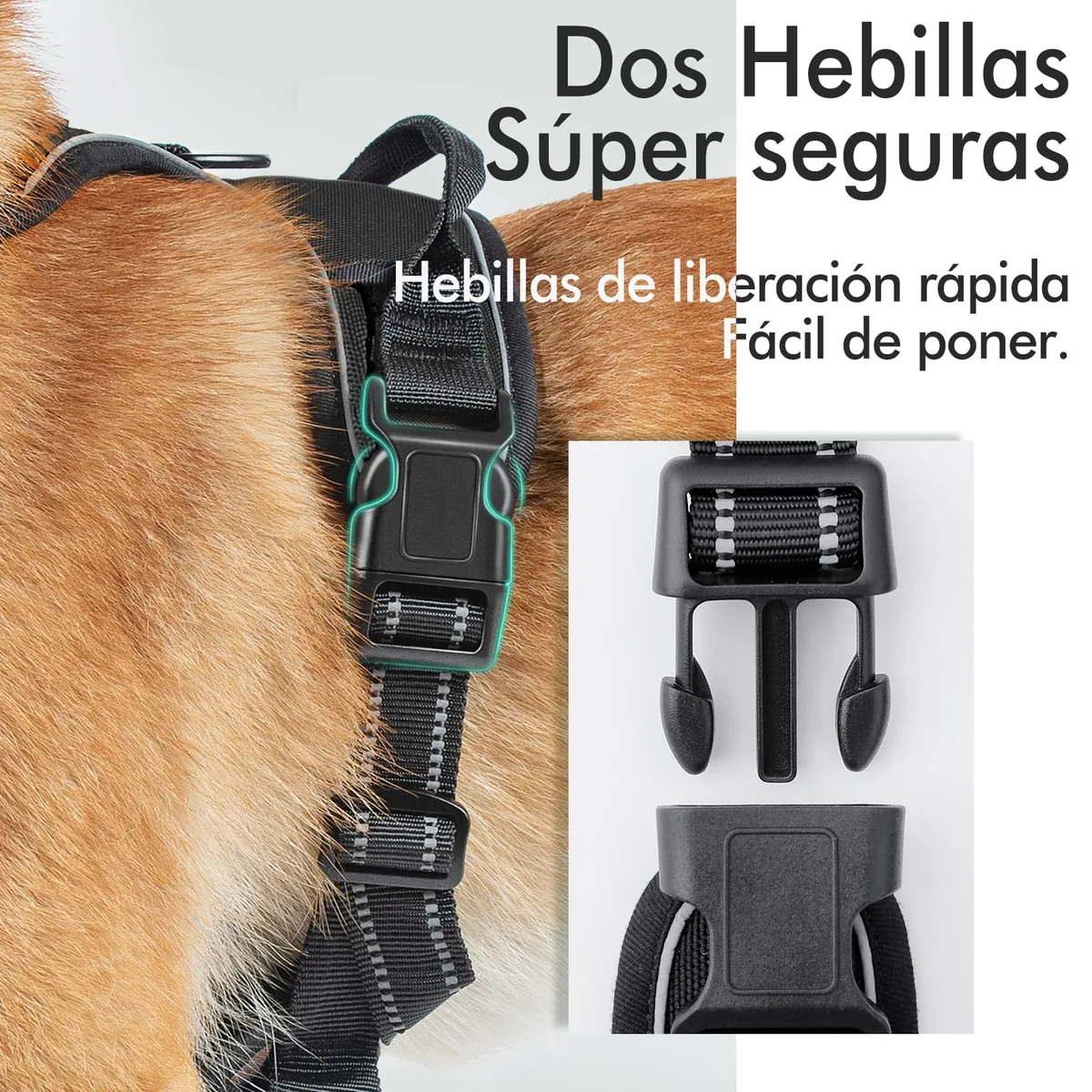 rabbitgoo Arnés antitirones clásico — imagen 7
