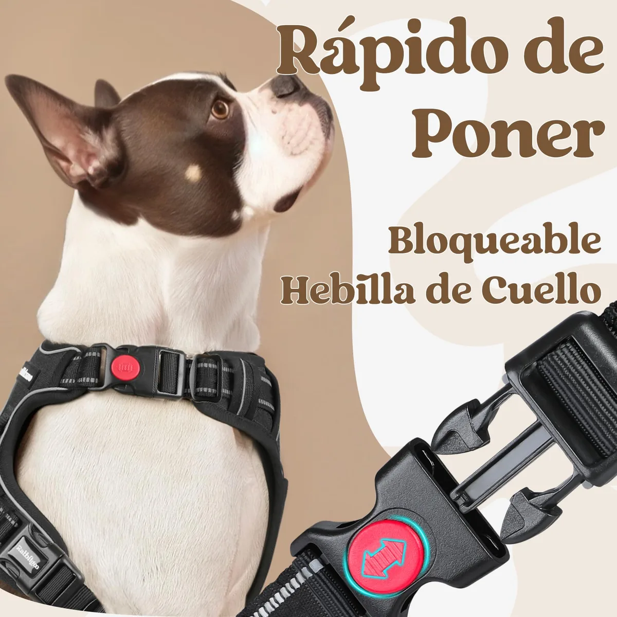 rabbitgoo Arnés con apertura de cuello y asa — imagen 3