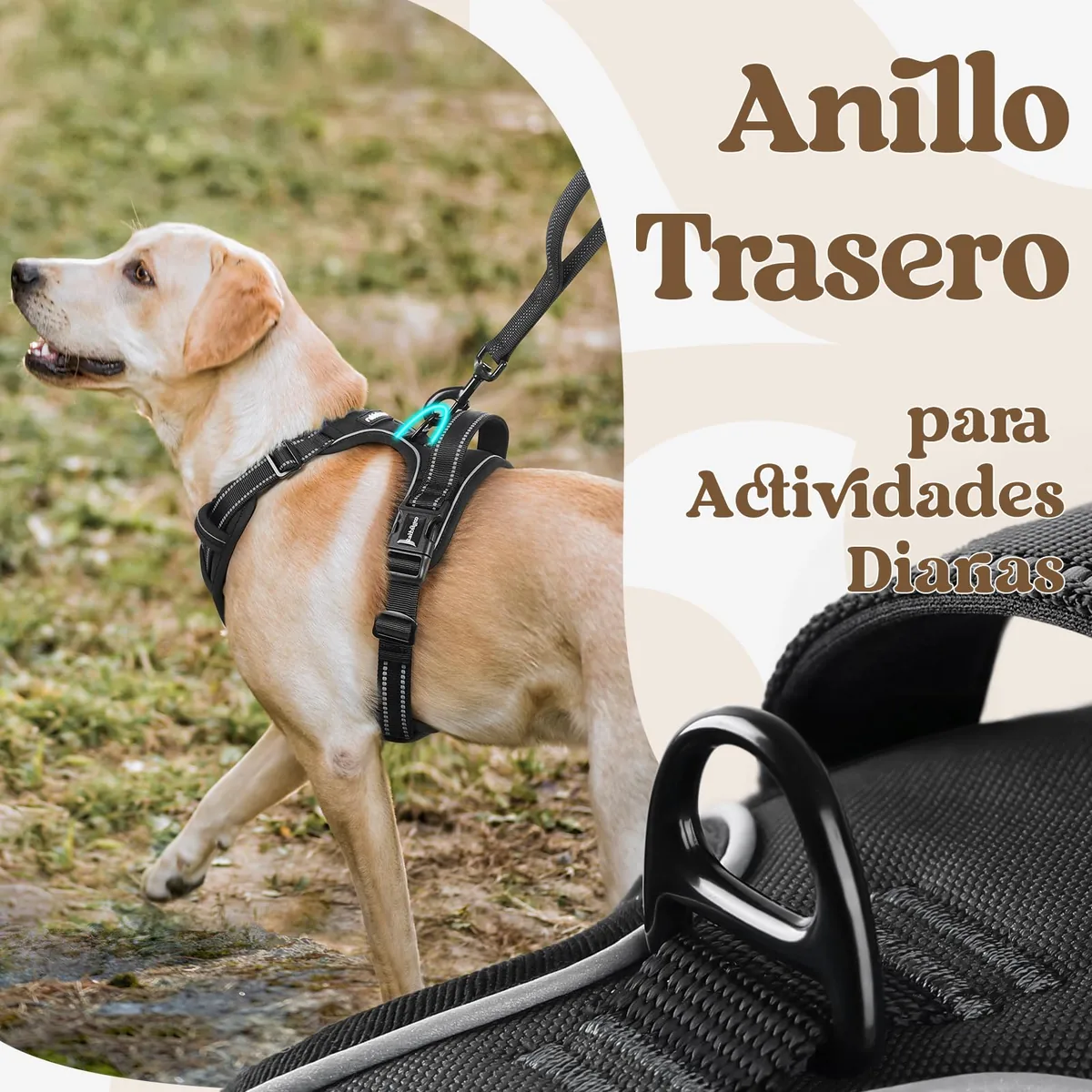 rabbitgoo Arnés con apertura de cuello y asa — imagen 7