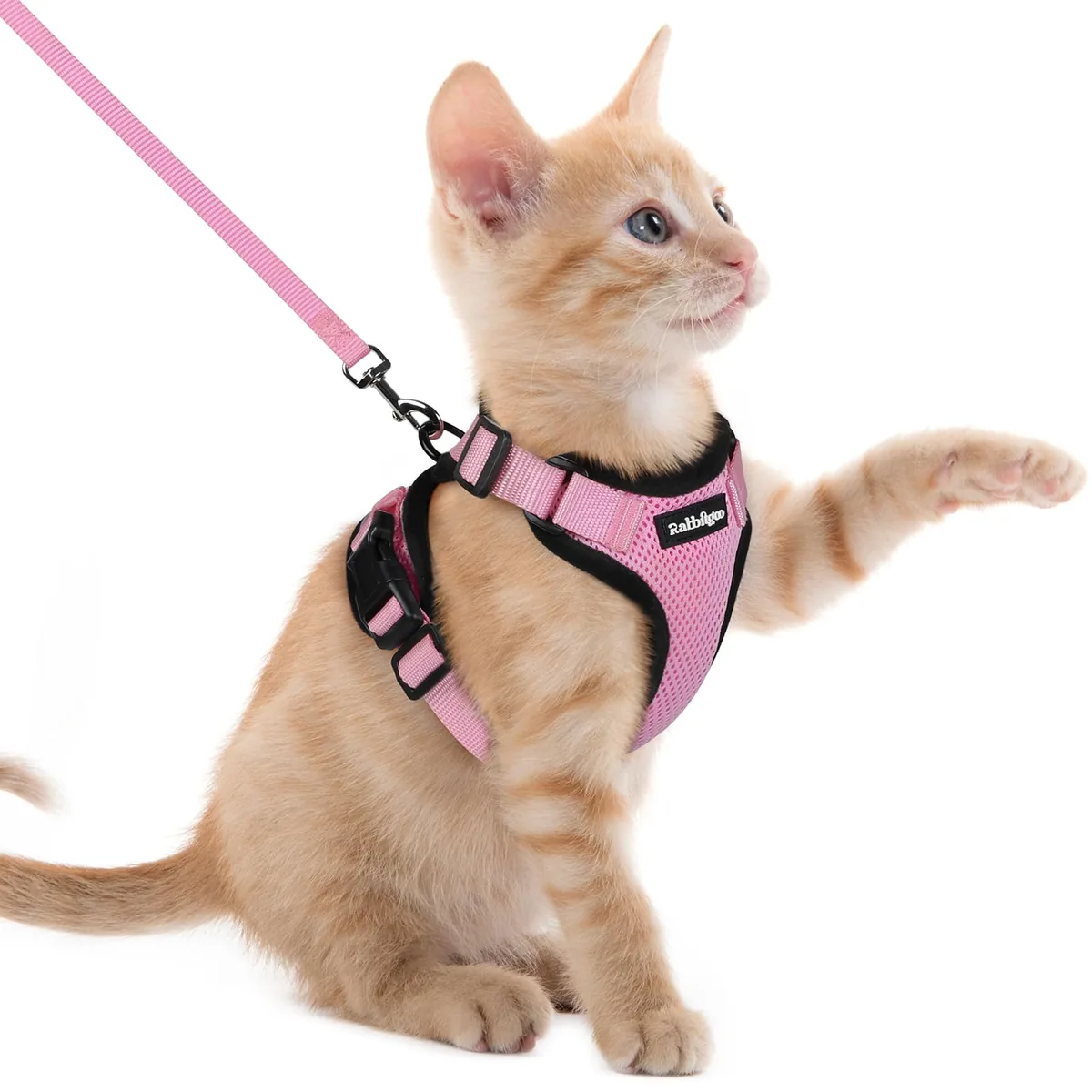 rabbitgoo Arnés para gatos antiescape con correa 150 cm