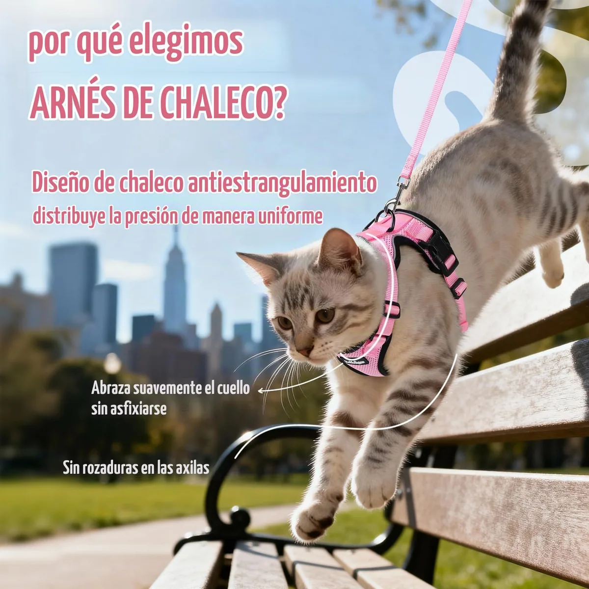 rabbitgoo Arnés para gatos antiescape con correa 150 cm — imagen 3
