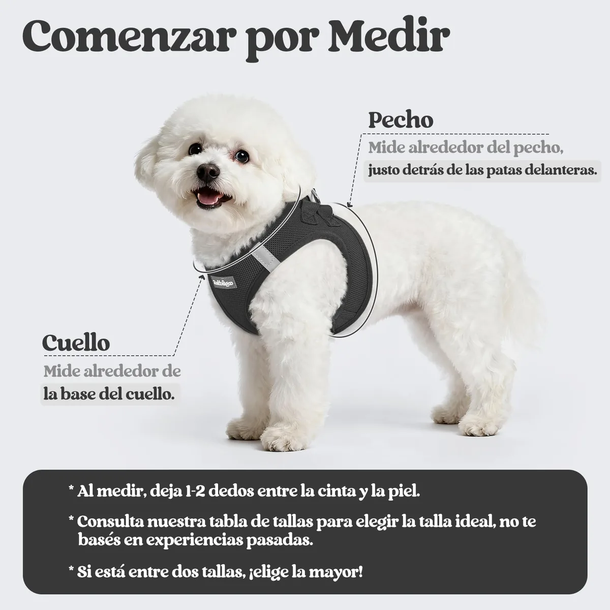 rabbitgoo Arnés perro pequeño con correa de 156 cm — imagen 2