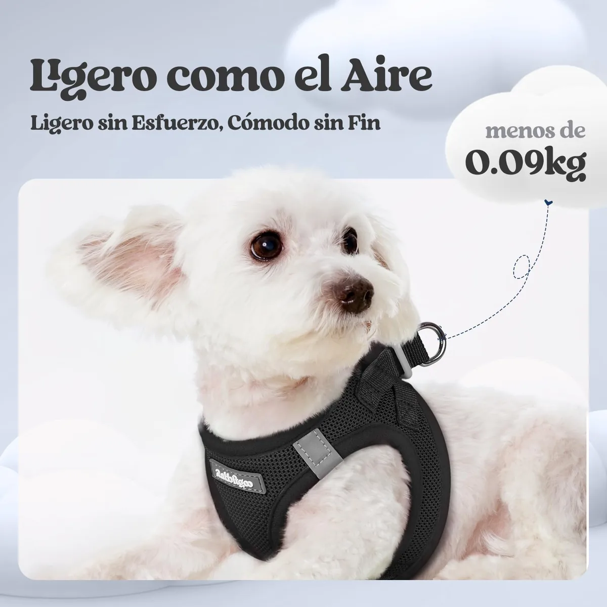 rabbitgoo Arnés perro pequeño con correa de 156 cm — imagen 3