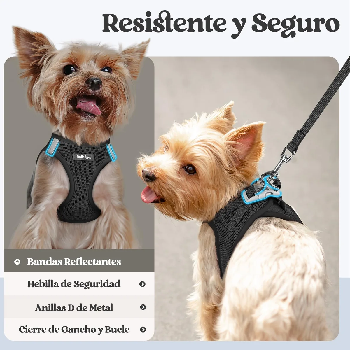 rabbitgoo Arnés perro pequeño con correa de 156 cm — imagen 5