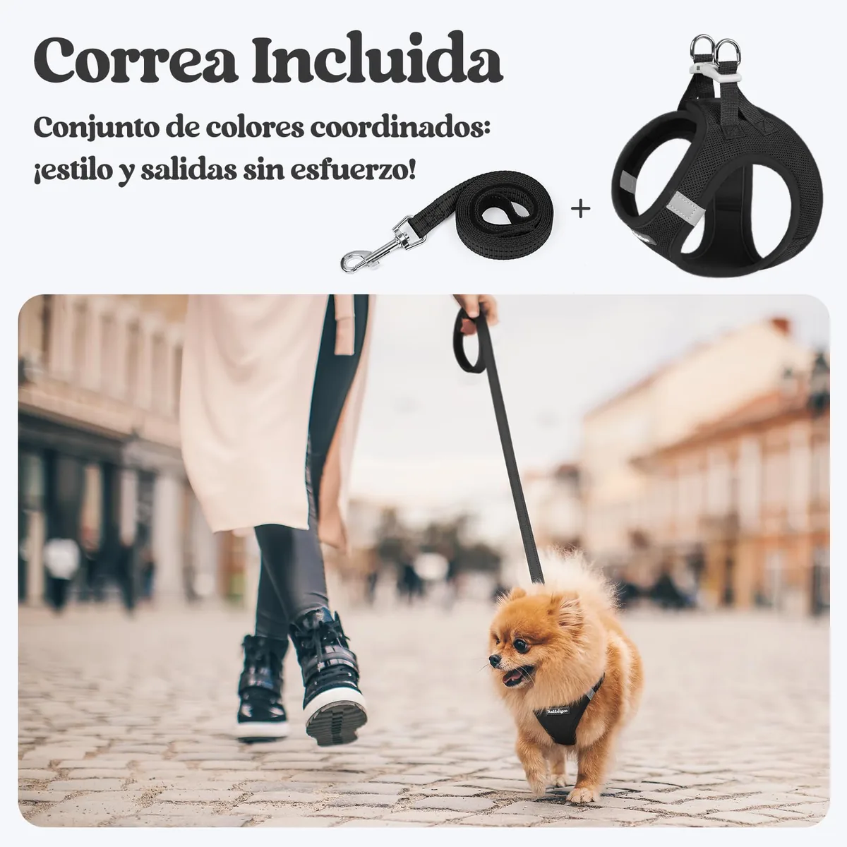 rabbitgoo Arnés perro pequeño con correa de 156 cm — imagen 6