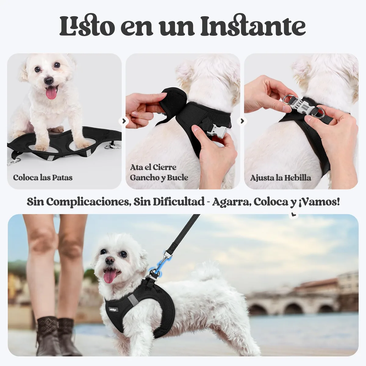 rabbitgoo Arnés perro pequeño con correa de 156 cm — imagen 8