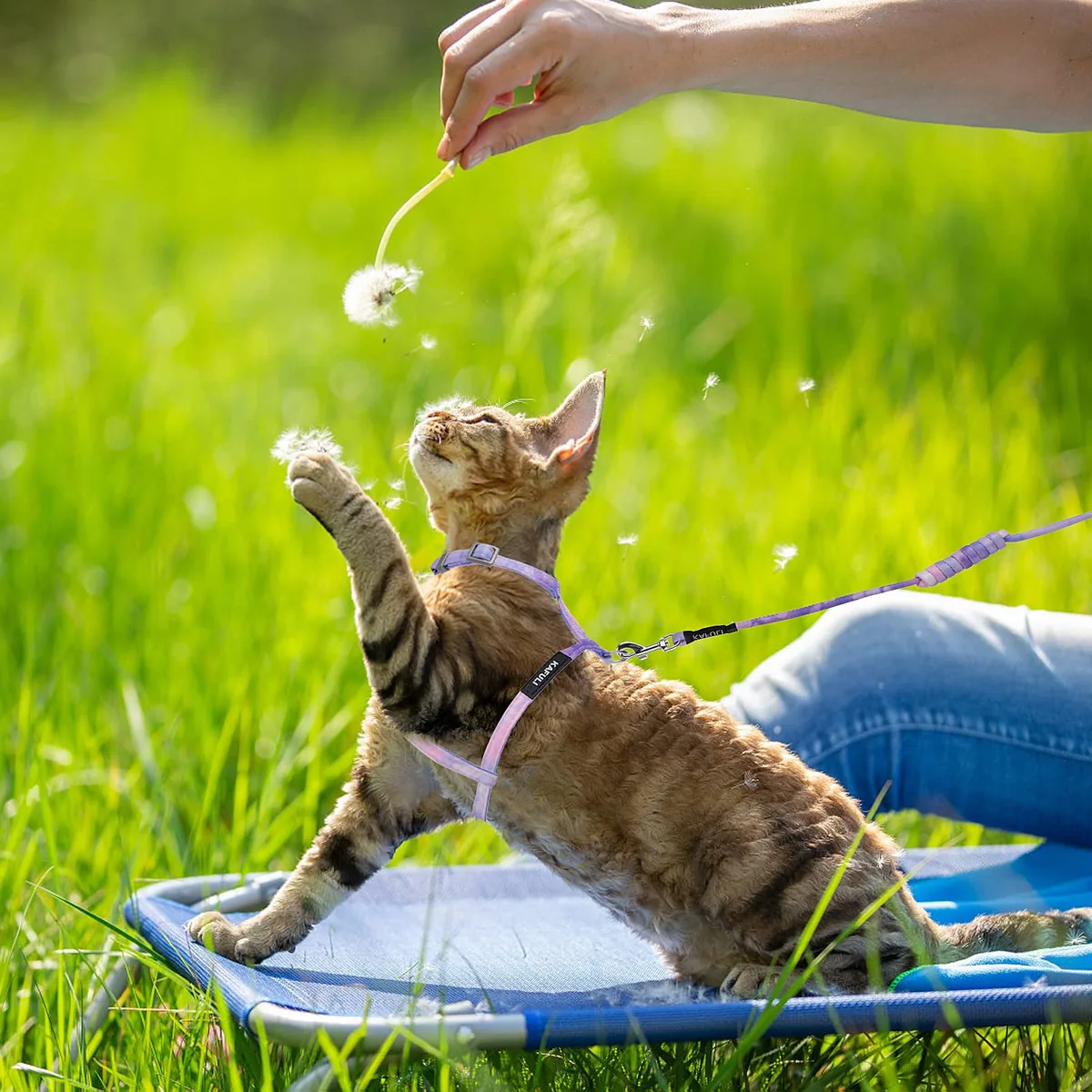TIESOME Juego arnés + correa + collar para gatos — imagen 5