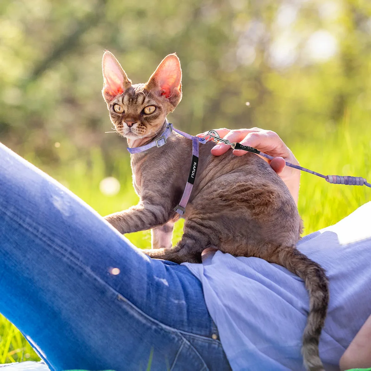 TIESOME Juego arnés + correa + collar para gatos — imagen 6