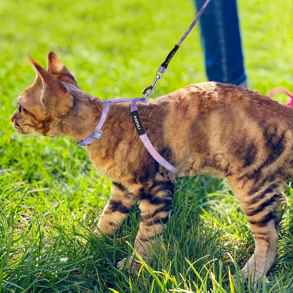 TIESOME Juego arnés + correa + collar para gatos — imagen 7