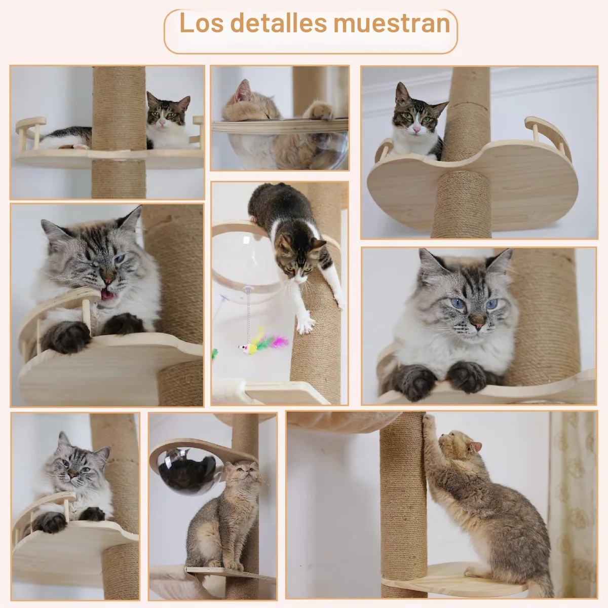 TQEW Árbol de piso a techo ajustable (127-305 cm) — imagen 7