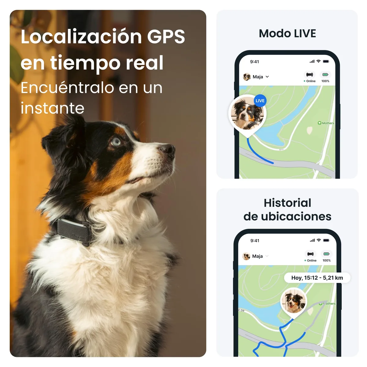 Tractive GPS para perros (2025) — imagen 2