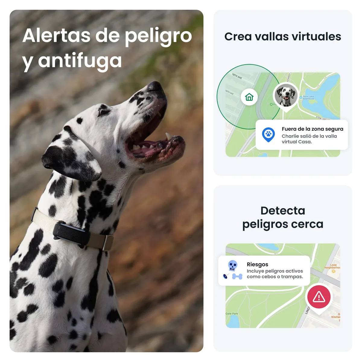 Tractive GPS para perros (2025) — imagen 4
