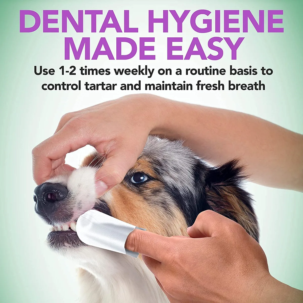 Vet's Best Toallitas dentales para dedo (50 uds) — imagen 5