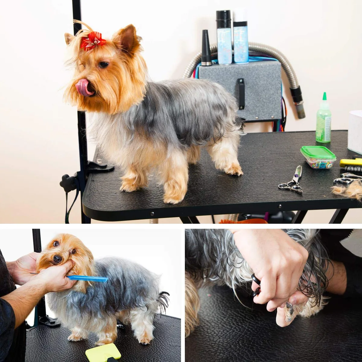 Yaheetech Mesa de peluquería plegable con brazo (carga 100 kg) — imagen 4