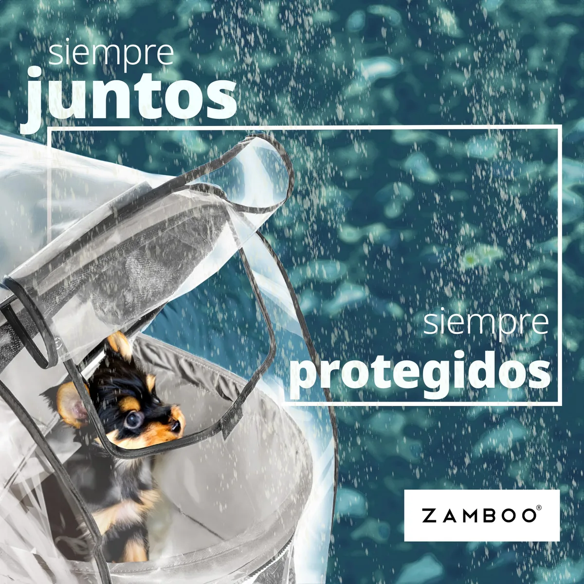 Zamboo Protector de lluvia universal para cochecito de mascotas — imagen 7